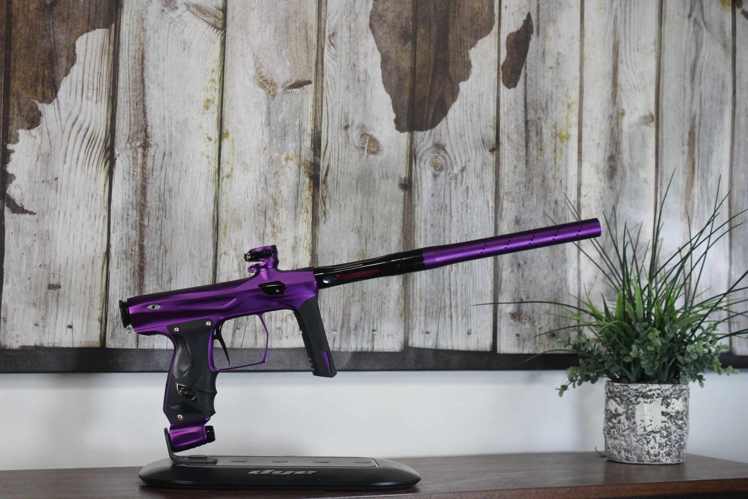 SP Shocker AMP - Purple/Black